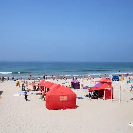 The Spot Ofir אכסניה