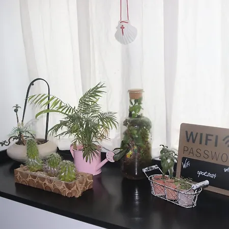 Hostel The Spot Ofir