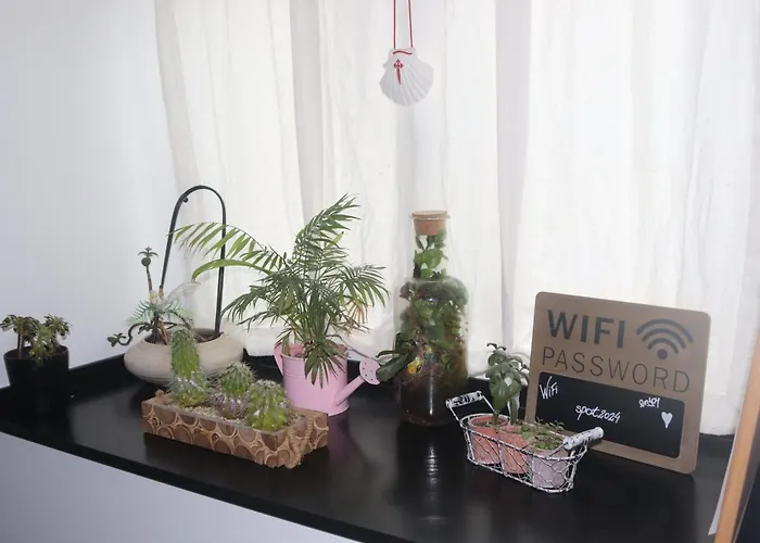 Vandrerhjem The Spot Ofir